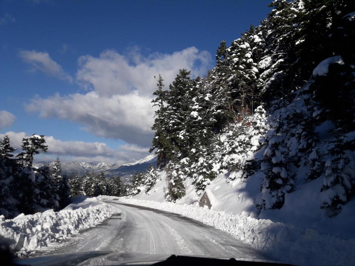 Kedros Chalet Agios Dimitrios  외부 사진
